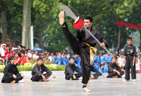 Liên hoan Quốc tế Võ cổ truyền Việt Nam lần thứ V - Bình Định 2014