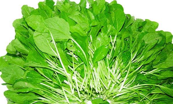Giá cả thị trường hôm nay 31/3/2018: Rau cải non giá 30 ngàn đồng một kg