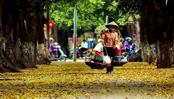 Thu về trên phố - Quyền Văn