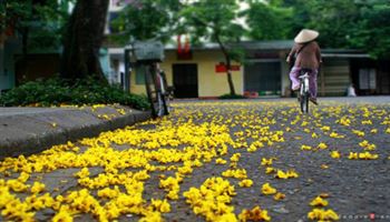 Truyện ngắn: Những ngày cuối năm (Quyển Văn)